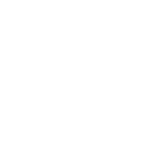 BEAU IDÉAL CONSULTING